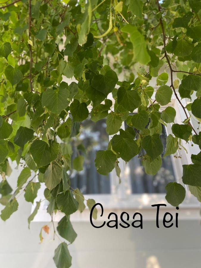 Apartment Casa Tei