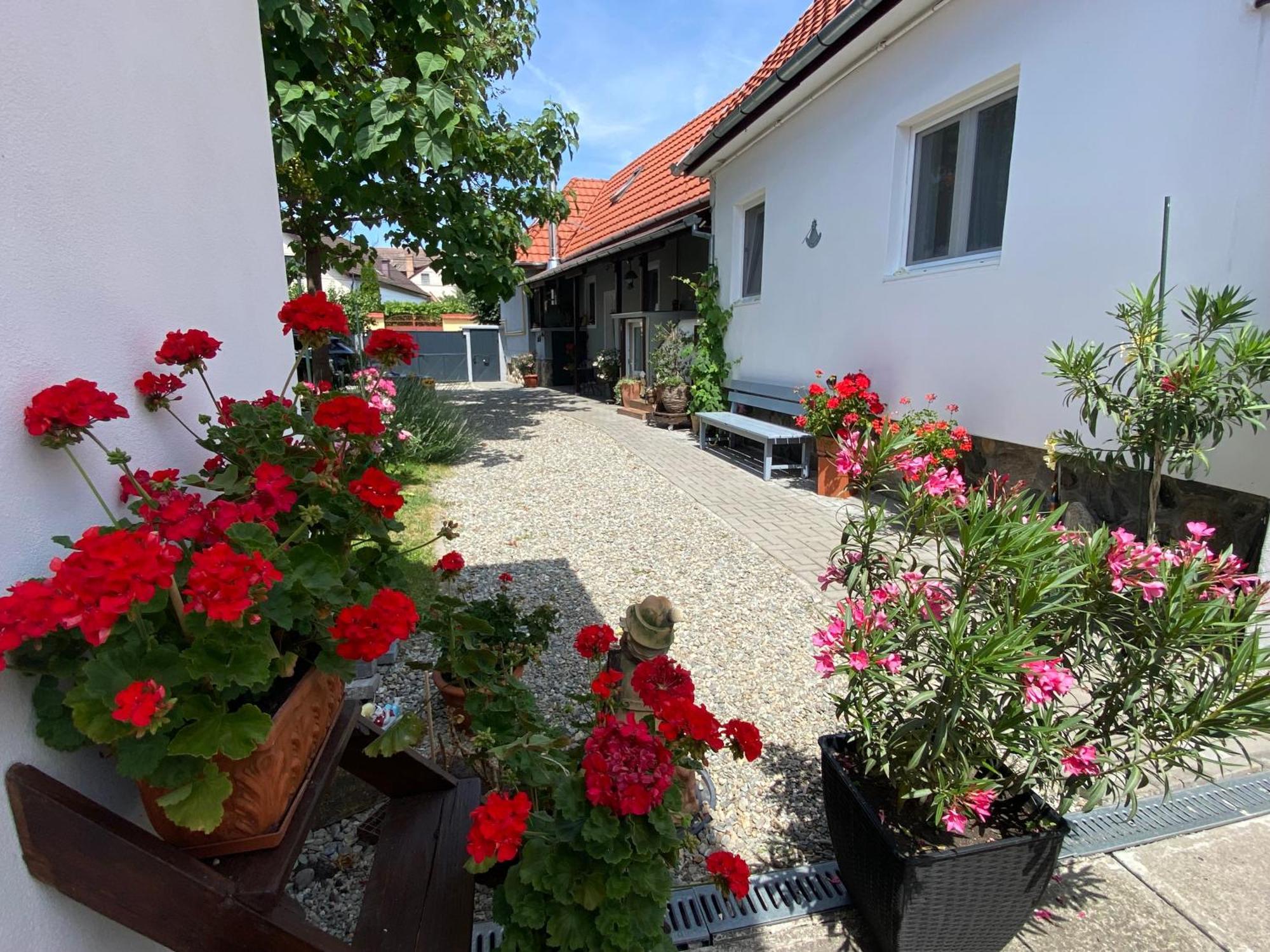 Casa Tei * Sibiu